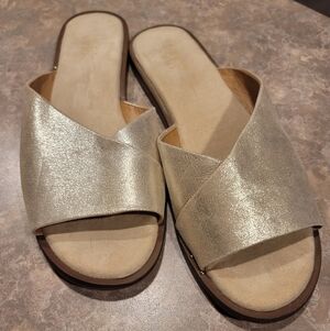 🩶Franco Sarto Riviera Slides🩶